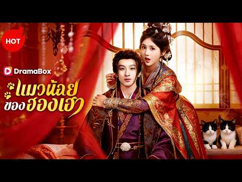แมวน้อยของฮองเฮา(พากย์ไทย)  | ละครสั้นล่าสุดปี 2026 #dramabox #romance #kdrama