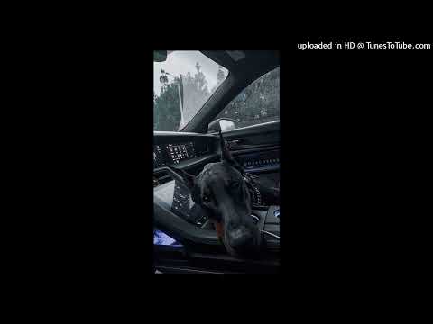 [FREE] JAZEEK x REEZY TYPE BEAT - ,,Wonder Why'‘ | (prod. by dmp.)