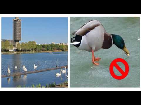 La biodiversité expliquée aux enfants