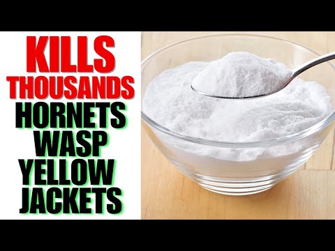 KILL Every Wasp Hornet And Yellow Jacket UP TO 1 MILE AROUND YOUR HOME