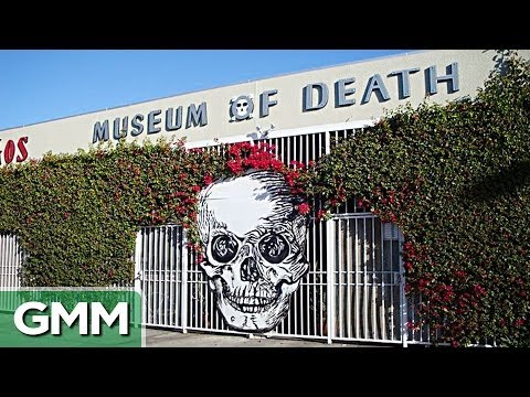 Strange Museums You Must Visit Video