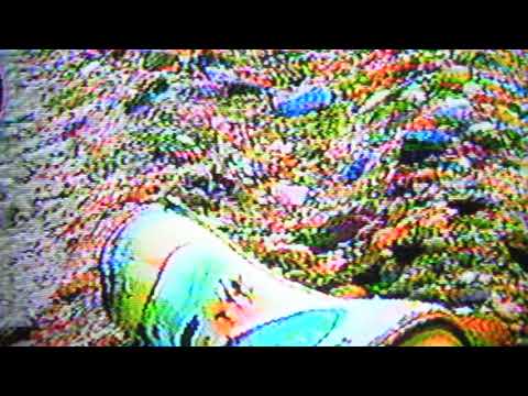 netcapture - drew the architect, cat soup & curtis heron