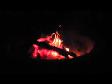 Hyena sounds at night Khwai camp