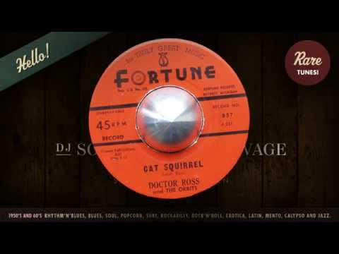 Doctor Ross / Cat Squirrel