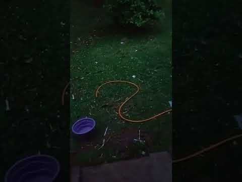 Dia de chuva ☂️ forte em maua da serra PR com granizo hoje dia 31/08/2026