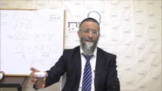 על מחצית השקל וסוד המספרים - חלק ב