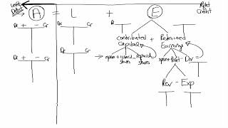 Transaction Analysis, Journal Entries, T Accounts, Trial Balance, and Financial Statements!