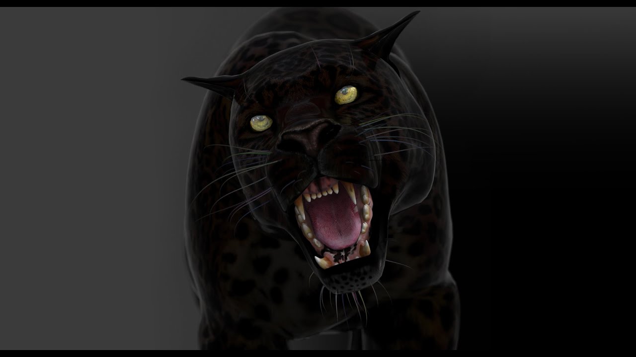 Animated Black Panther Animal 3D Model