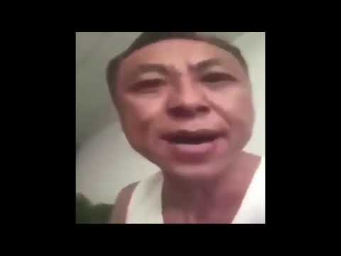 Remix 8 Rhythm heaven ds but with cats (get real meme)