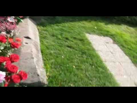 Falcos Grabstein im Wiener Zentralfriedhof