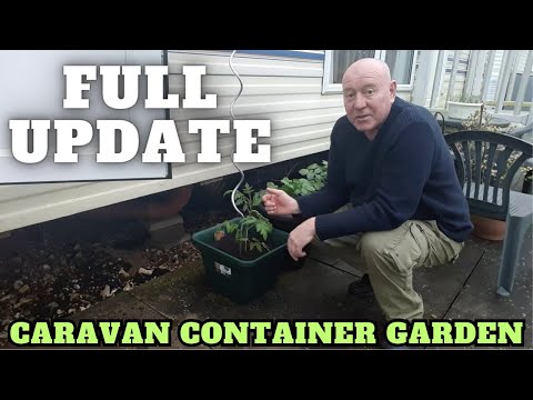 Caravan Container Garden Full Update