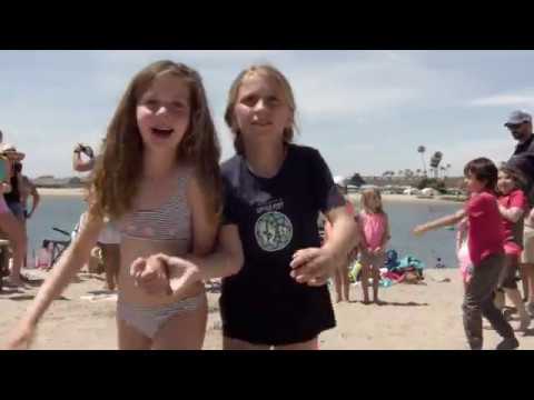 MCN - Family Fun Day 2018-2019