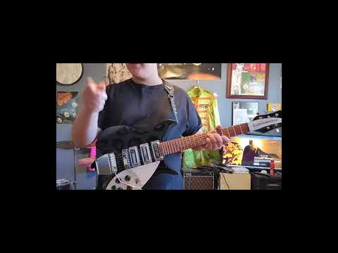 I"M BACK! Chinese Rickenbacker Update