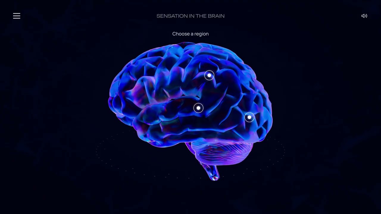 New Media Design Elements III Projects video