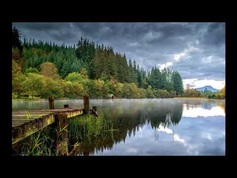 Forest Deep (Special for Dilby)