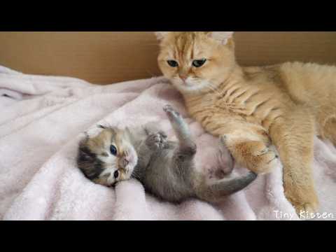 YouTube 썸네일