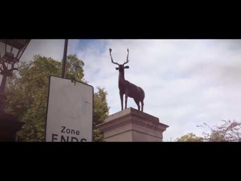 Valor Interior - Lobos