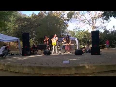 Musica Xamanica (ao vivo)