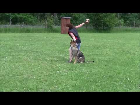 Jagira Aykmar - 12 months