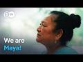 The Maya of Belize - The battle for culture, the rainforest and ancient knowledge | DW Documentary DEFAULT Thumbnail