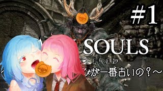 【ダークソウル実況プレイ】青ニート葵、更生の旅 01【初見】