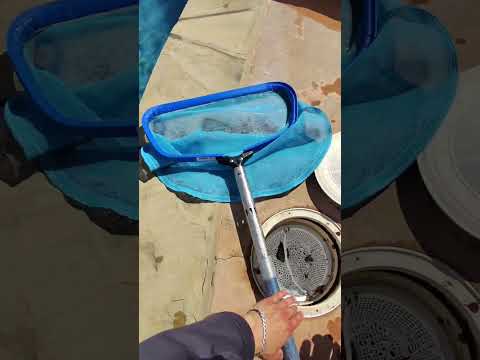 #poolcleaning #pool #sandiego