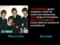 Que Amor (What A Love)/Los Shakers 1965