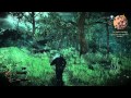 Vidéo de gameplay de The Witcher 3: Wild Hunt  Toute Plateformes