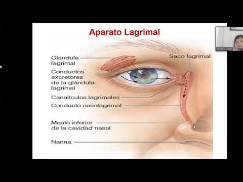 MOR112-B 04-10-21 Anatomia y fisiologia