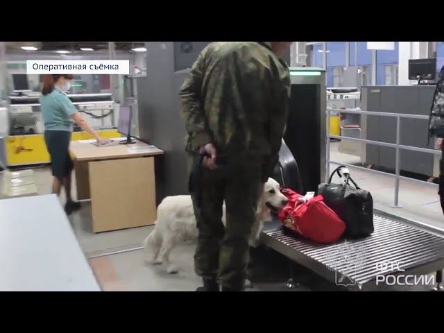 Незадекларированные наличные