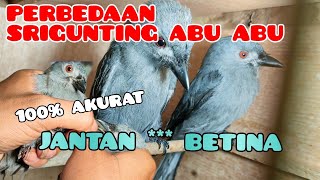 Download lagu DIFFERENCES BETWEEN MALE AND FEMALE GRAY THREADS mp3 Download lagu DIFFERENCES BETWEEN MALE AND FEMALE GRAY THREADS mp3