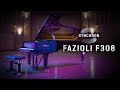 Video 2: VSL Synchron Fazioli F308