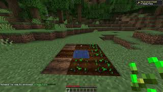 How To Plant Wheat Seeds in Minecraft - Episode 13 - QESEMT