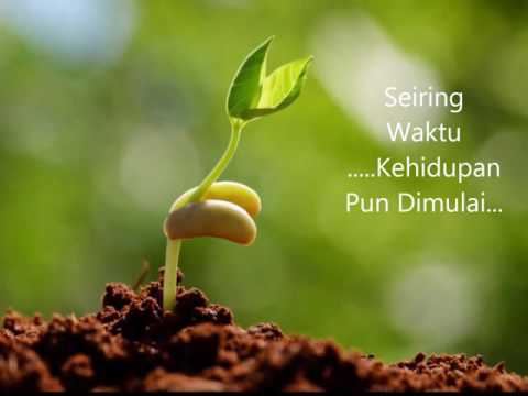 Protein meningkatkan potensi Tanda dan gejala impotensi dan pengobatan