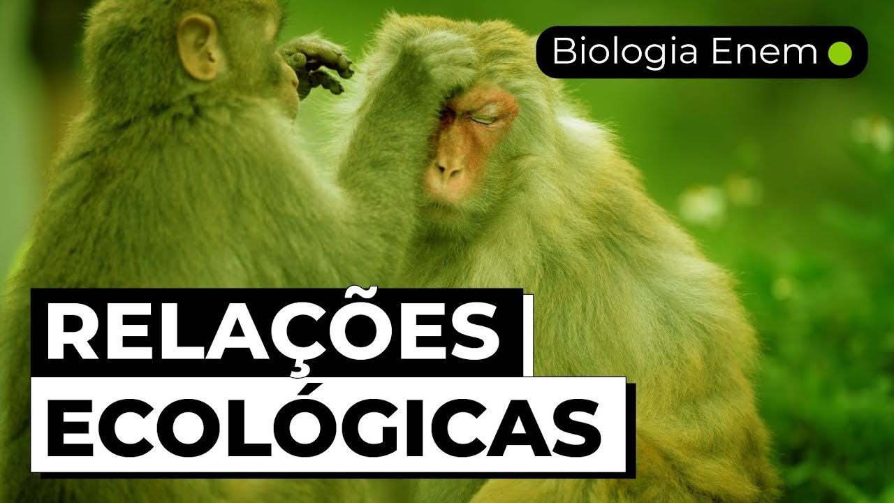 RELAÇÕES ECOLÓGICAS | Resumo de Biologia para o Enem