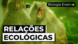 RELAÇÕES ECOLÓGICAS | Resumo de Biologia para o Enem
