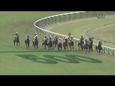 2019.11.24 2yo Newcomer (JPN) - Bartoli