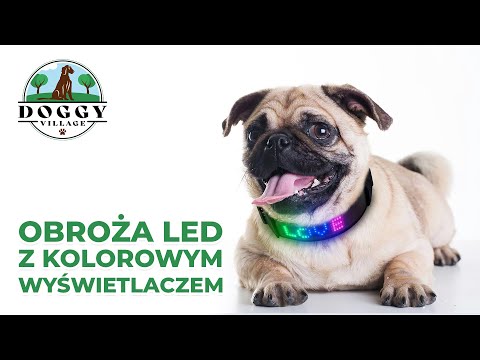 Doggy Village Programuojamas / interaktyvus antkaklis su spalvotu LED ekranu vidutiniams ir dideliems šunims video