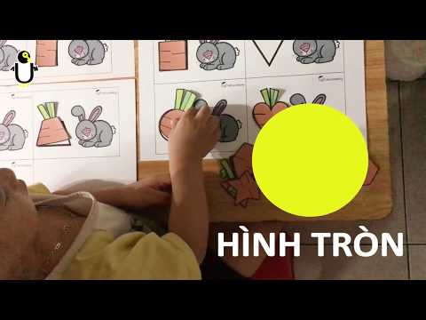 Quân Key #21 - Bé Chơi Nhận Dạng Hình - Quân Key