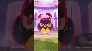 ポケモンGOマックスバトルココガラゲットできたかな？　#ポケgo #pokemongo #ポケモンgo #pokemon #ポケゴー #ポケモン #shorts #short #ココガラ