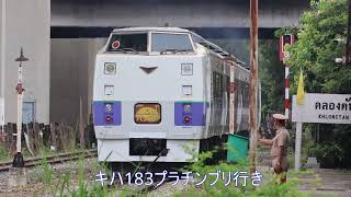 キハ183プラチンブリ行きを撮影 Kiha183 To Prachinburi, Klongton Station.
