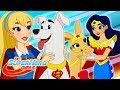 Pets Peeved Part 1 | 409 | DC Super Hero Girls
