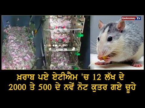 ਖ਼ਰਾਬ ਪਏ ਏਟੀਐਮ 'ਚ 12 ਲੱਖ ਦੇ 2000 ਤੇ 500 ਦੇ ਨਵੇਂ ਨੋਟ ਕੁਤਰ ਗਏ ਚੂਹੇ