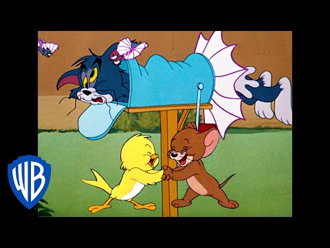 Tom y Jerry en Español | ¡P-p-p-pájaros! | WB Kids