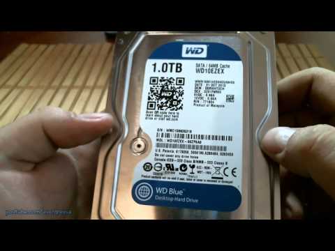 Жесткий диск Western Digital Caviar Blue WD10EZEX 1TB. Распаковка + микрообзор
