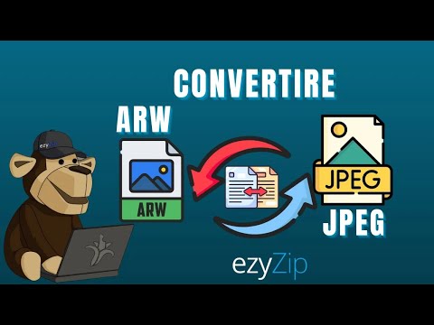 Come Convertire ARW in JPEG in Pochi Secondi!