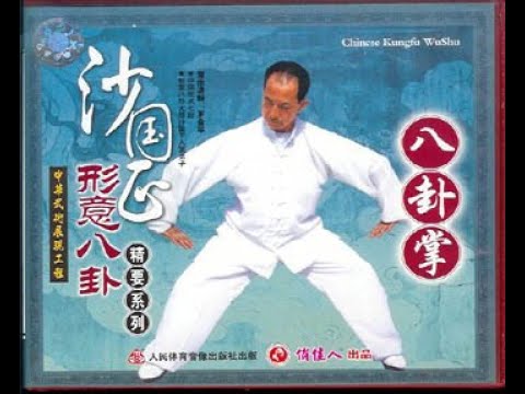 Jiang style Bagua Palm