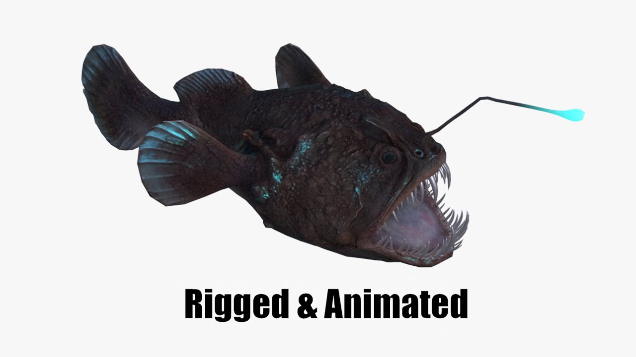 Angler Fish monkfish 3D Model