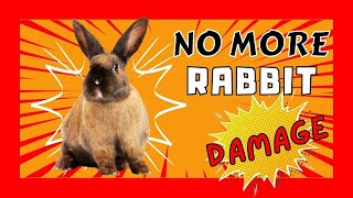 How To Keep Rabbits From Destroying The Garden - 100% Working Methods