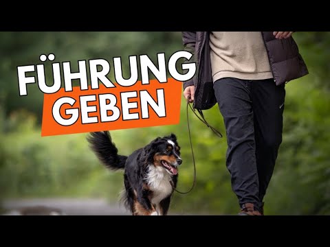 Giving leadership - setting boundaries through space and resource management